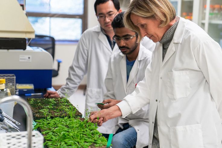 Agricultural Science